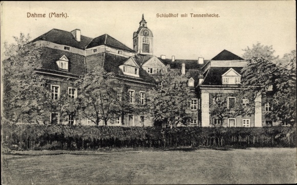 Postcard Dahme in der Mark, castle courtyard with fir hedge