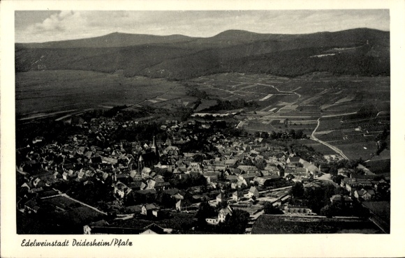 Postcard Deidesheim Rhineland Palatinate, general view