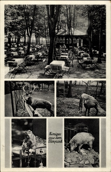 Postcard Holzmühle Plauen im Vogtland, wood mill, deer, monkey, wild boar
