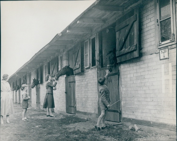 foto Berlin West 1954, drafbaan Berlin Mariendorf, paarden in stallen