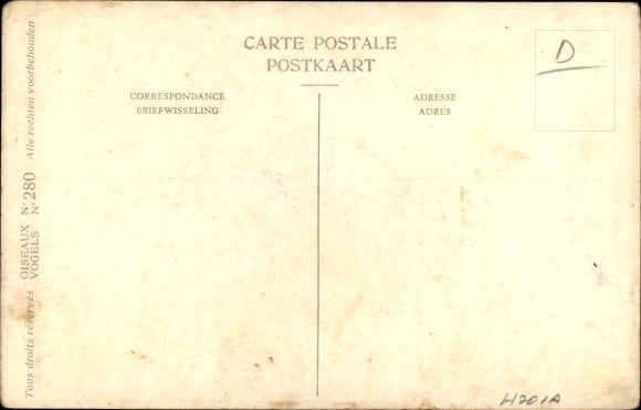 Artist PC Dupond, H., Vogel, Calidris minuta, Leisler