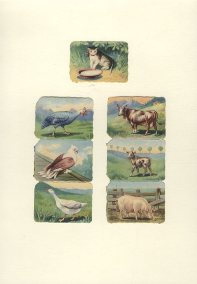 7 wafers / glossy pictures of farm animals, each approx. 4.5 x 6 cm