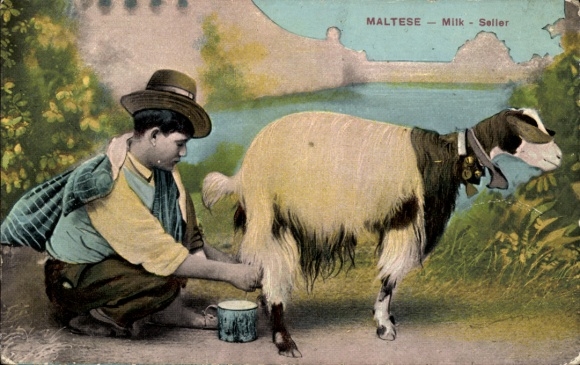 Postcard Malta, man milking a goat, milk seller