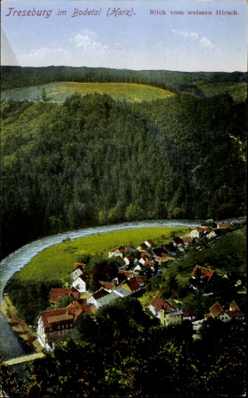Ak Treseburg Thale im Harz, Teilansicht, Blick vom weißen Hirsch