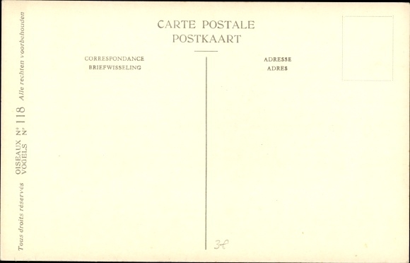 Artist Postcard Dupond, Hub., Circus macrourus, Steppenweihe