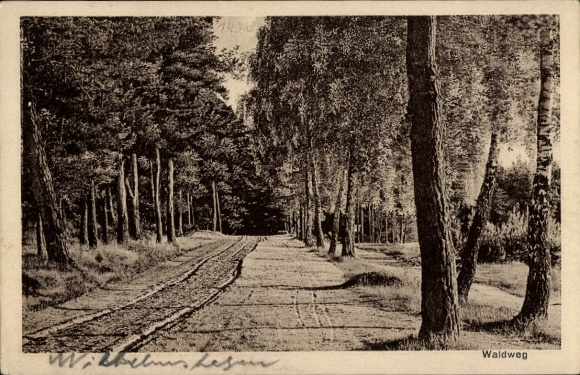 Postcard Berlin Köpenick Rahnsdorf Wilhelmshagen, Waldweg