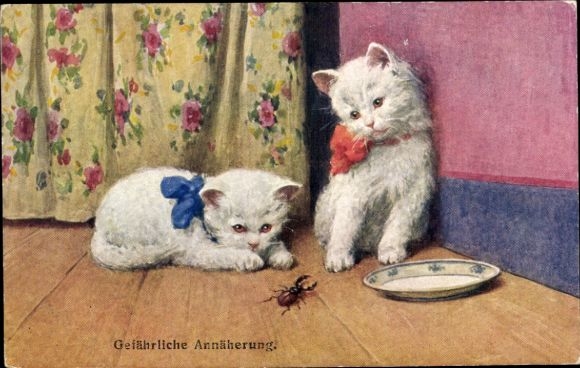Postcard two cats watching beetles, BKWI 121 4