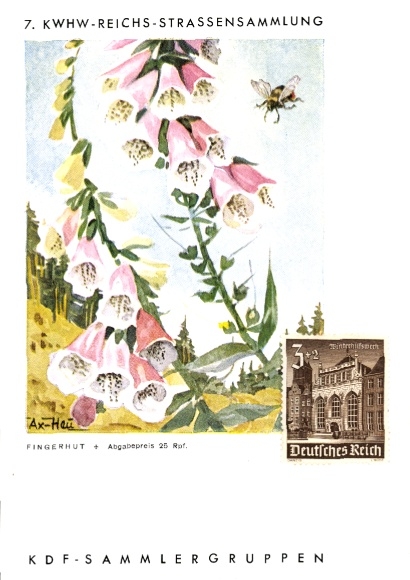 Artist Postcard Axster Heudtlaß, 7th KWHW Reichsstraßensammlung, Fingerhut