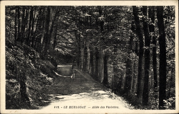Postcard Huelgoat Finistere, Allee des Violettes