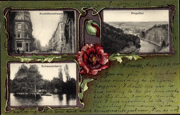 Postcard Mittweida in Saxony, Ringethal, Rochlitzerstrasse, swan pond, poppy blossom