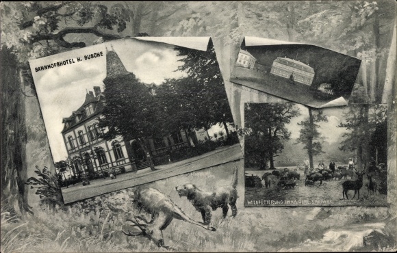 Postcard Springe am Deister, wild feeding, train station hotel