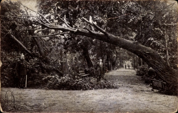 PC Chemnitz in Saxony, storm catastrophe 1916, fallen tree, park scene