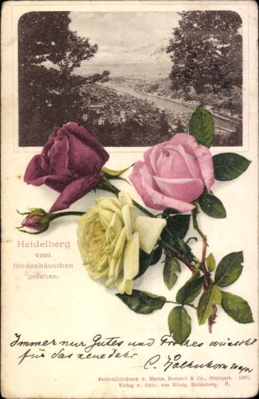 PC Heidelberg am Neckar, bark houses, roses, from 1901