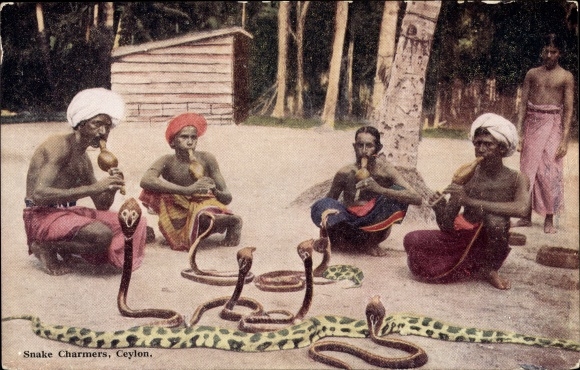 Postcard Ceylon Sri Lanka, Snake Charmers