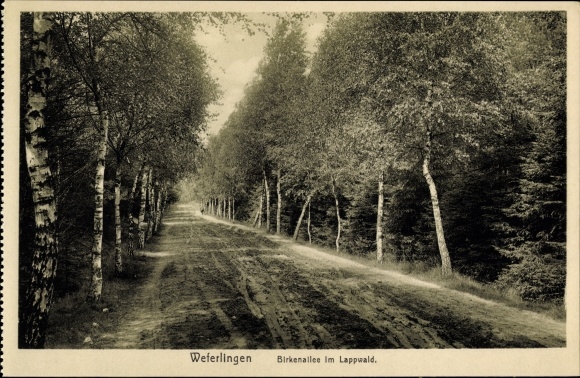 KP Oebisfelde Weferlingen w Saksonii Anhalt, Lappwaldpartie, Birkenallee