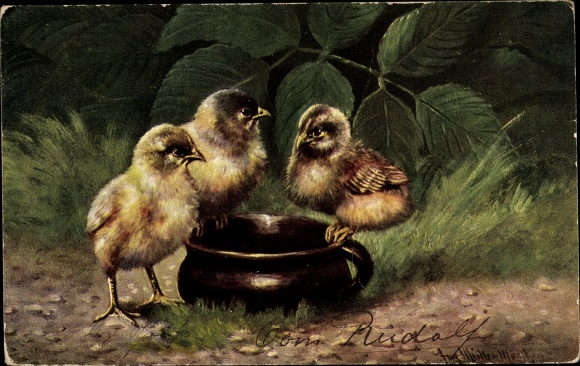 Artist PC Müller, August, three chicks, clay jug