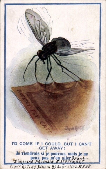 Artist Postcard McGill, Donald, fly is caught in the glue trap