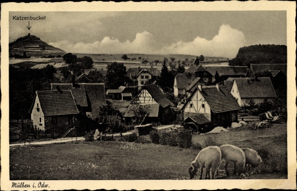 Ak Mülben Waldbrunn im Necker Odenwald Kreis, NSV Müttererholungsheim E. Reinacher, Katzenbuckel