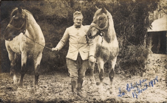 Foto Ak Französischer Soldat in Uniform, Pferde