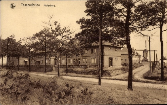 Postcard Tessenderlo Flanders Limburg, Molenberg, windmill