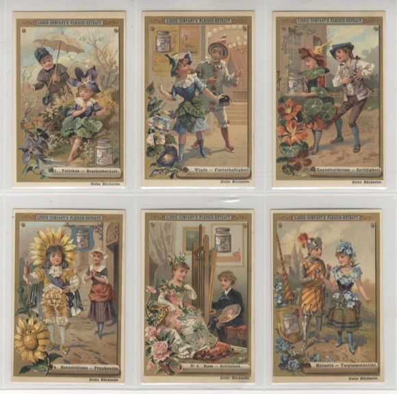 Liebig picture series A 124 S 243 Flower language I (boy and girl), 1889