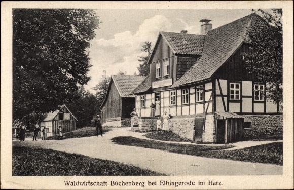 Postcard Elbingerode Oberharz am Brocken, forestry Büchenberg