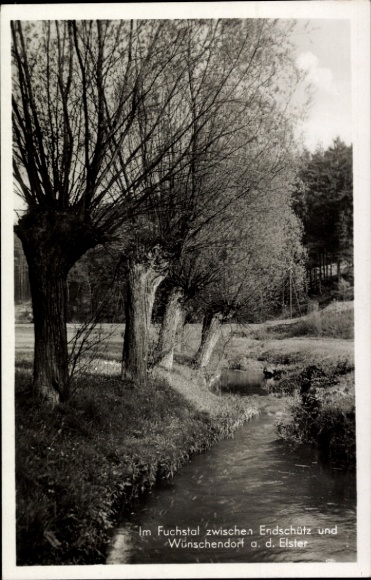 Ak Wünschendorf aan de Elster, bomen aan de oever van de rivier, idyllisch landschap, Fuchstal, rustige sfeer