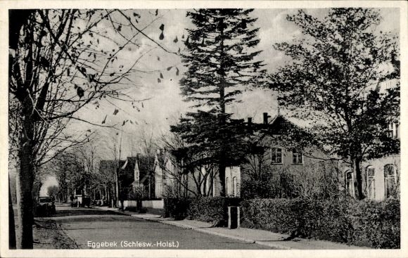 Ak Eggebek Kreis Flensburg, Straßenpartie