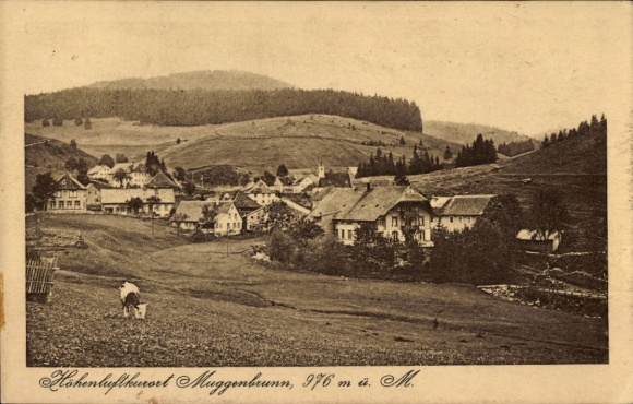 Postcard Muggenbrunn Todtnau in the Black Forest, general view