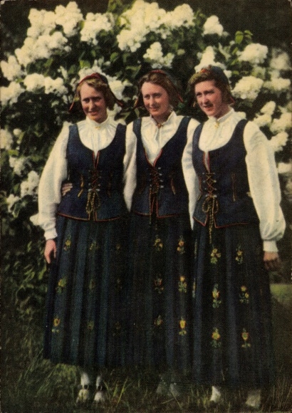 Postcard Norway, Hedmarkbunad, young women in Norwegian costume
