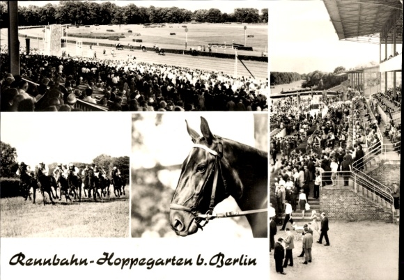 Postcard Hoppegarten in Brandenburg, horse racing track, spectators