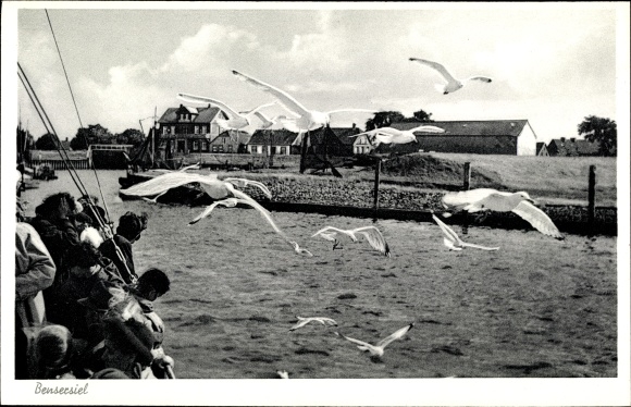 Postcard Bensersiel Esens in Ostfriesland, view of the place, tourists, seagulls