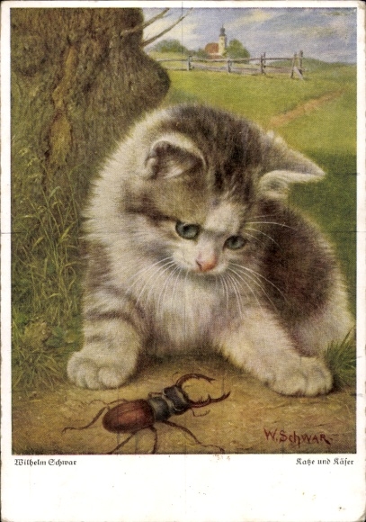 Artist Postcard Schwar, Wilhelm, cat and beetle