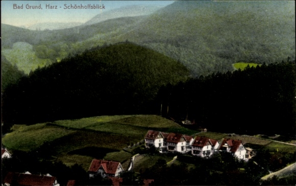 Ak Bad Grund im Harz,  Harz, Landschaft, Häuser, Wald, Berge, schöne Aussicht