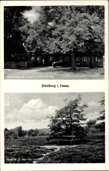 Ak Jesteburg im Kreis Harburg, Gasthaus zum Lindenkrug, Partie in der Heide