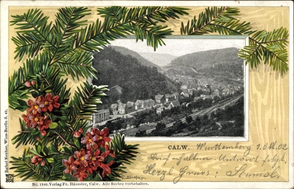 Ansichtkaart van passe-partout met reliëfdruk Calw im Schwarzwald, panorama