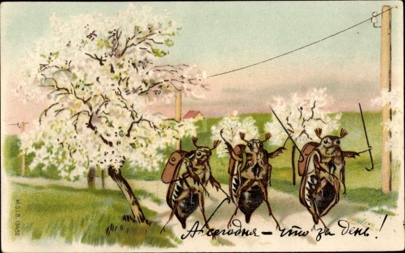 Litho Maikäfer, Baumblüte, Wanderer