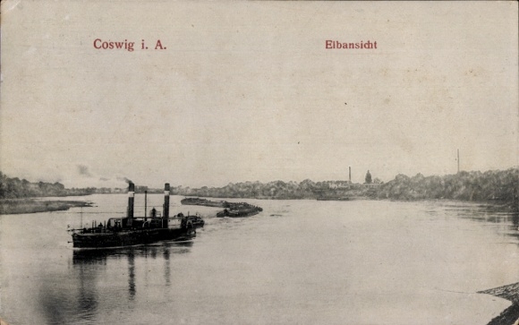 Ak Coswig in Anhalt, Elbe, Dampfer