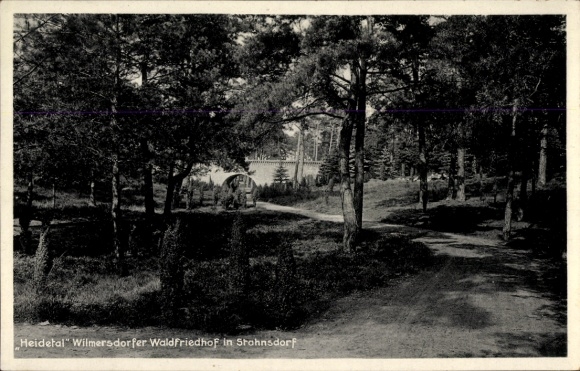 Postcard Stahnsdorf in Brandenburg, Heidetal Wilmersdorfer Waldfriedhof