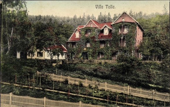 Ak Bad Suderode Quedlinburg im Harz, Villa Tolle