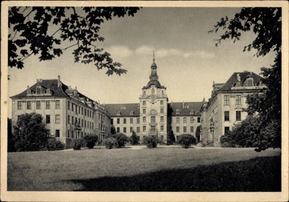 Postcard Zerbst in Anhalt, Castle