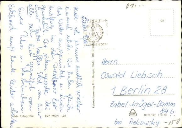Postcard Dresden Old Town, Dresden Zoo, crane, camels, giraffe, zebras and elephant