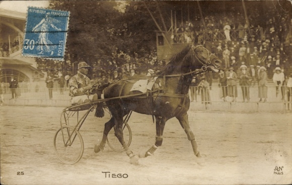 Foto Ak Trabrennen, Rennpferd Tiego, Sulky, Jockey, Zuschauertribüne, Paris