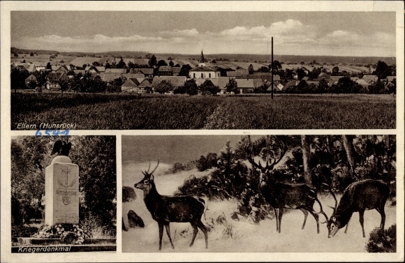 Postcard Ellern Hunsrück, war memorial, deer, view of the town, field