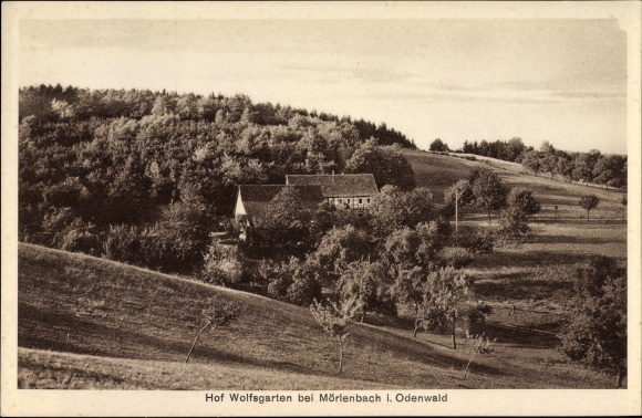 Ak Mörlenbach im Odenwald Hessen, Blick zum Hof Wolfsgarten mit Umgebung, Wald, Wiesen