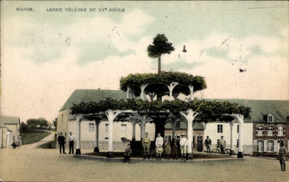 Ak Mâcon Saône-et-Loire, Bekannter Baum aus dem 15. Jahrhundert, Menschen versammeln sich.