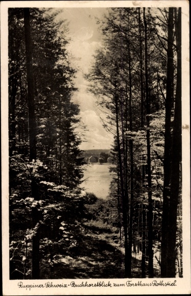 Postcard Altruppin Neuruppin in Brandenburg, Ruppiner Switzerland, Buchhorst view to the forester&#39;s house Rothstiel