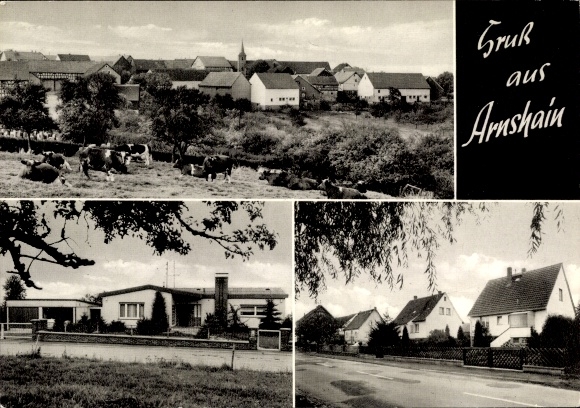 Ansichtkaart Arnshain Alsfeld in Hessen, gedeeltelijk zicht, nederzetting, winkel Heidemarie Kibler, grazende koeien