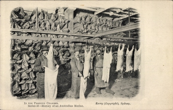 PC History of an Australian Merino, Freezing Chamber