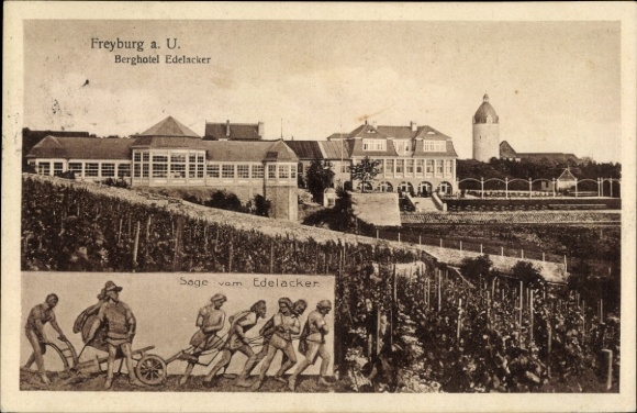 Ak Freyburg an der Unstrut, Berghotel Edelacker, Weinberge, historische Szene mit pflügenden B...